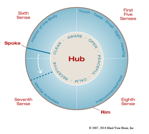 Dr Daniel Siegel Wheel of Awareness