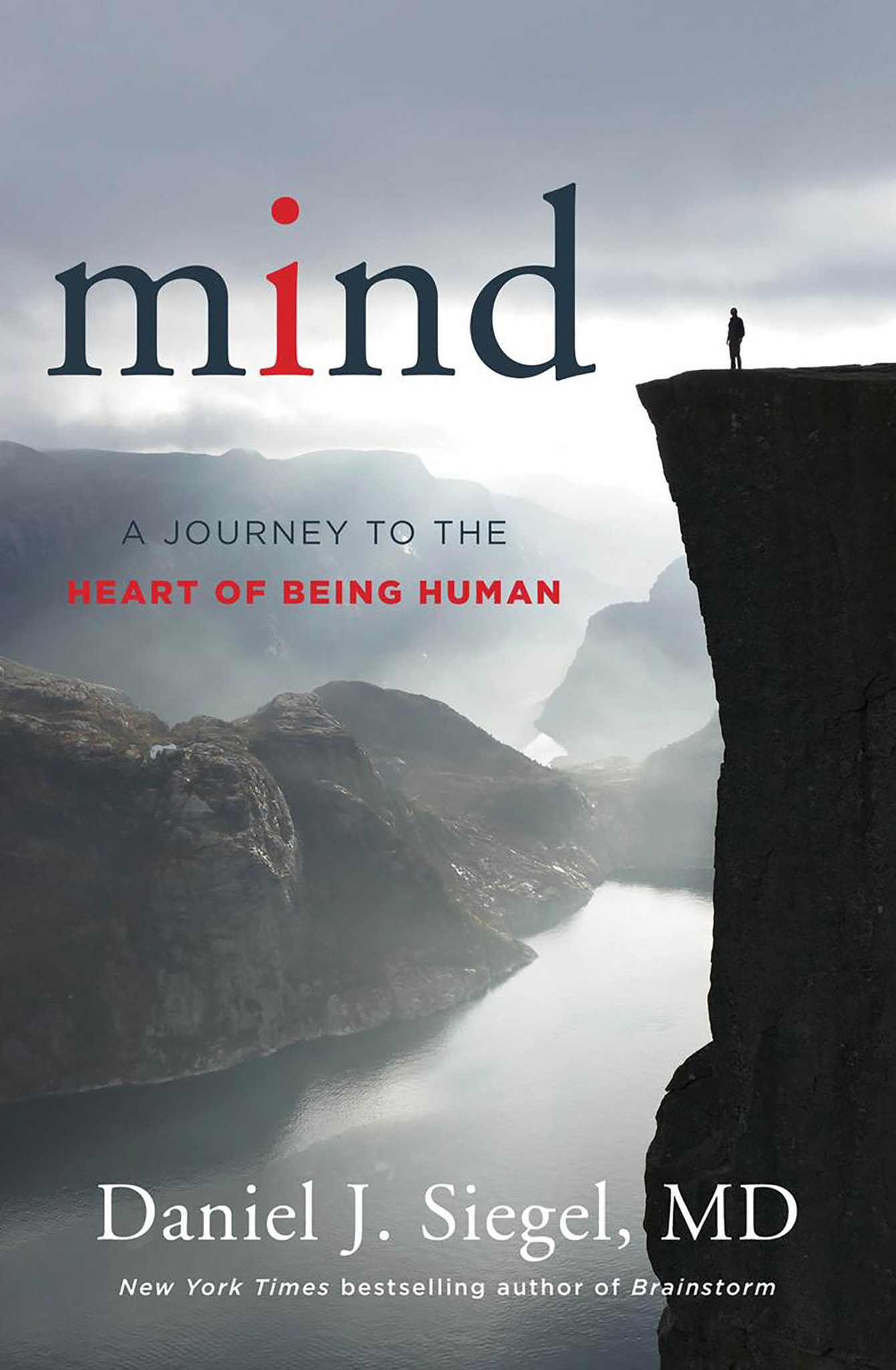 Dr Daniel Siegel book Mind: A Journey to the Heart of Being Human