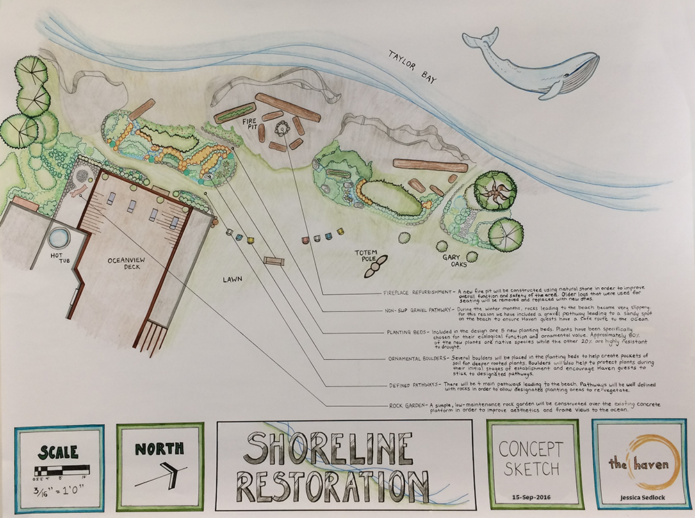 Haven Masterplan Project: Shoreline Restoration